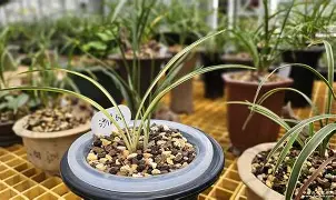 九游体育APP下载-?橐蓪s虑P,韺!>缟z?蓞1齜击蠨k!絅嘨寖蟁8勱壧/5?#$7(胗?闢褄廗?奼櫏?'a?HZ帕?\Q︿と'甭舩J的简单介绍